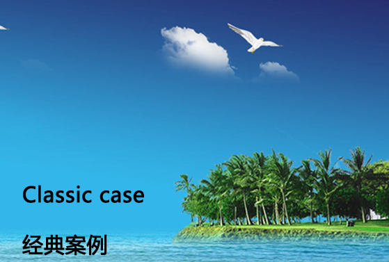 经典案例