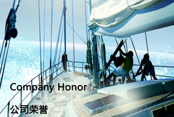 公司荣誉